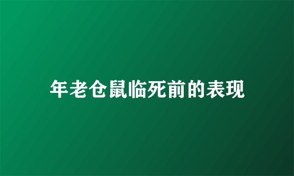 年老仓鼠临死前的表现
