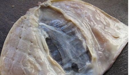 怎样处理墨鱼干?
