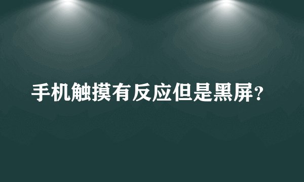 手机触摸有反应但是黑屏？