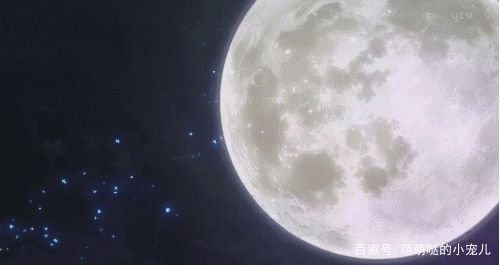一张纸最多能对折多少次?有什么道理?
