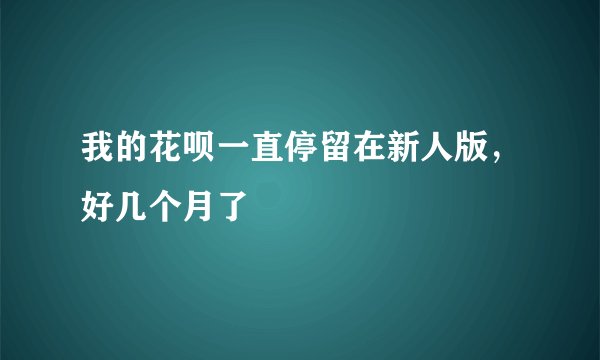 我的花呗一直停留在新人版，好几个月了