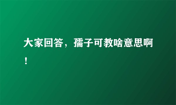 大家回答,孺子可教啥意思啊!