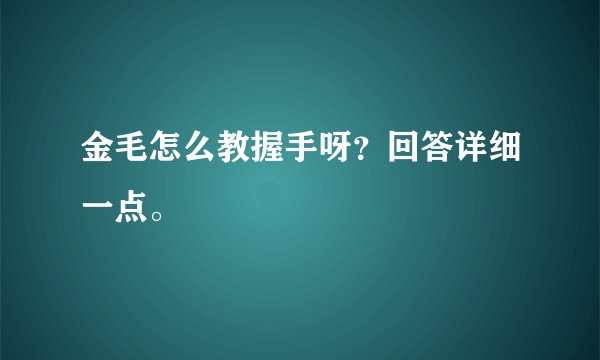 金毛怎么教握手呀？回答详细一点。