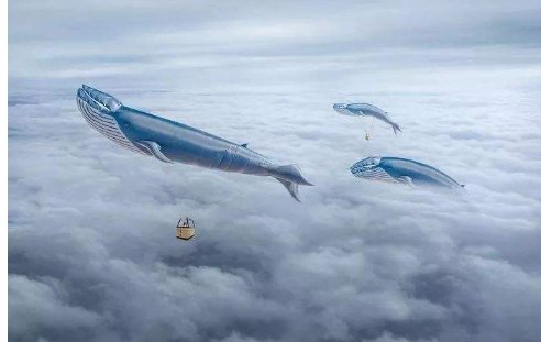 别人总是说我天马行空 ……话说天马行空到底啥意呢