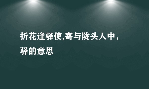 折花逢驿使,寄与陇头人中,驿的意思