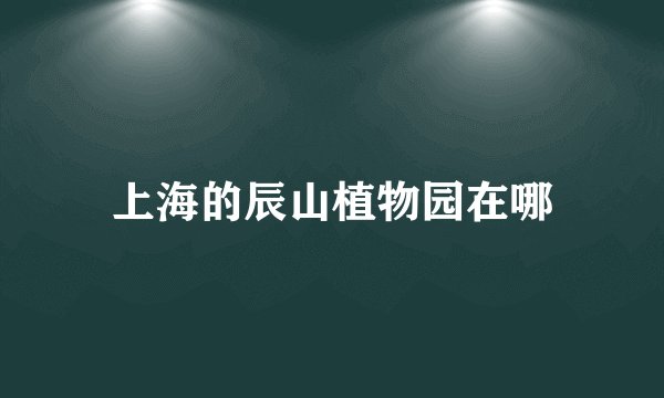 上海的辰山植物园在哪