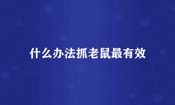 什么办法抓老鼠最有效