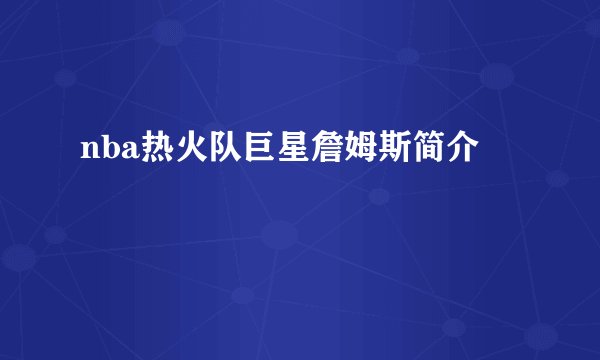 nba热火队巨星詹姆斯简介