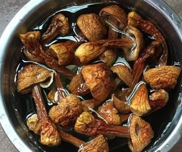 干松茸需要用水浸泡吗