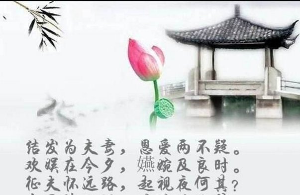 结发为夫妻，恩爱两不疑。这诗句是谁写的，全诗详细帮肋解释一下谢谢了！