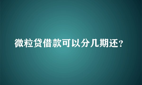 微粒贷借款可以分几期还？