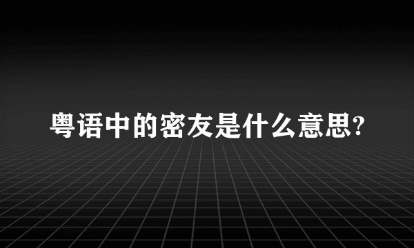 粤语中的密友是什么意思?