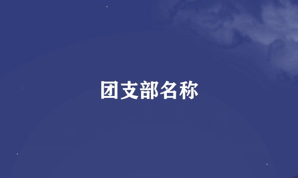 团支部名称