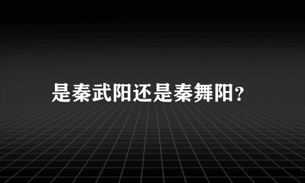 是秦武阳还是秦舞阳？