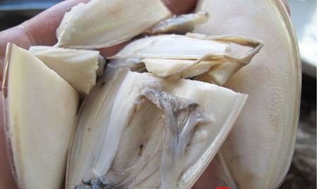 怎样处理墨鱼干?