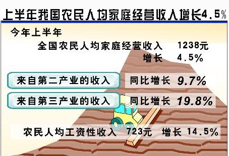 我家庭有四个人，只有父亲有收入，那人均年收入，和家庭年收入怎么写