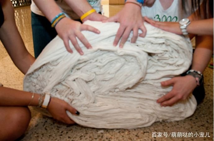 一张纸最多能对折多少次?有什么道理?