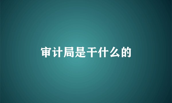 审计局是干什么的