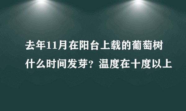 去年11月在阳台上载的葡萄树什么时间发芽？温度在十度以上