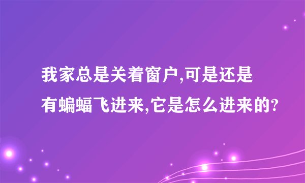 我家总是关着窗户,可是还是有蝙蝠飞进来,它是怎么进来的?