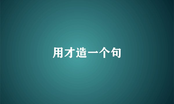 用才造一个句