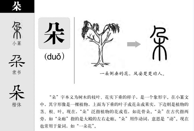 朵的偏旁部首是什么?