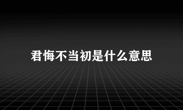 君悔不当初是什么意思
