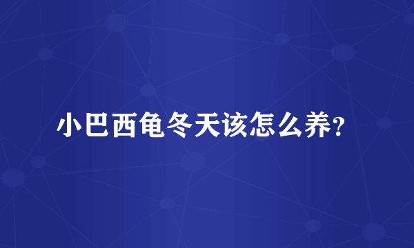 小巴西龟冬天该怎么养？