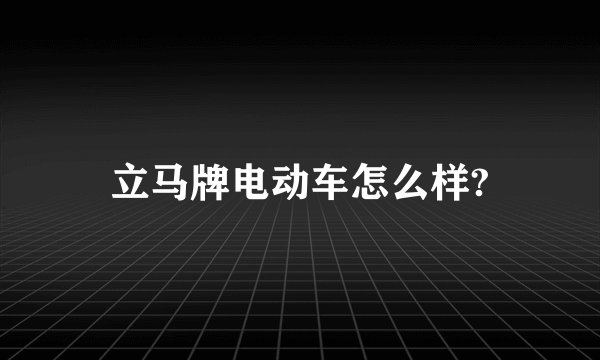 立马牌电动车怎么样?