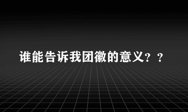 谁能告诉我团徽的意义？？