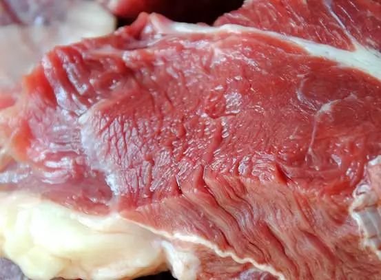 驴肉和猪肉哪个营养好