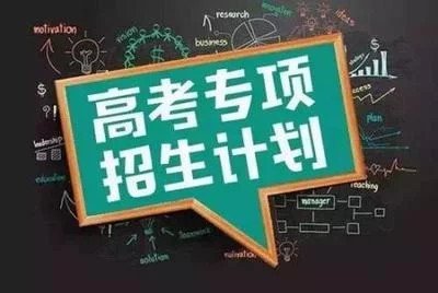 地方专项计划的利弊