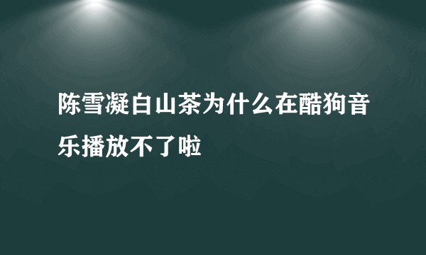 陈雪凝白山茶为什么在酷狗音乐播放不了啦