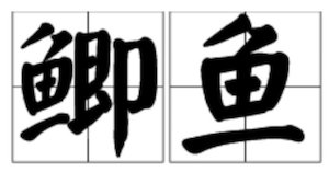 鲫鱼拼音怎么念