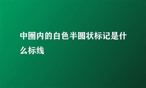 中圈内的白色半圆状标记是什么标线