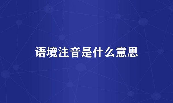 语境注音是什么意思