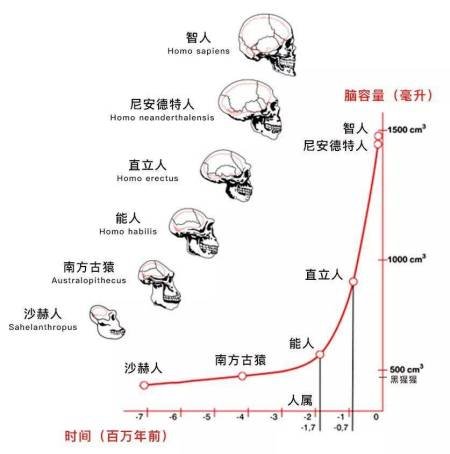地球上本没有人,第一个人是怎么出现的?第一个人是男是女?