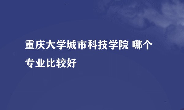 重庆大学城市科技学院 哪个专业比较好