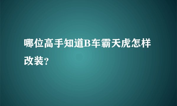 哪位高手知道B车霸天虎怎样改装？