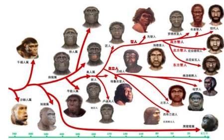 地球上本没有人,第一个人是怎么出现的?第一个人是男是女?