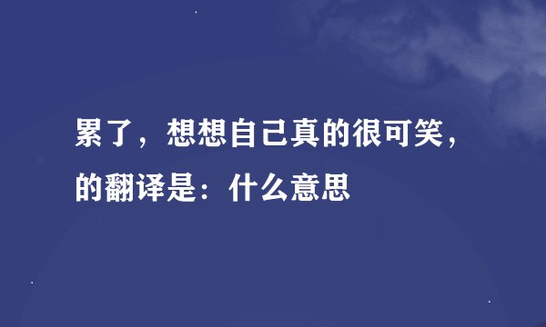 累了，想想自己真的很可笑，的翻译是：什么意思