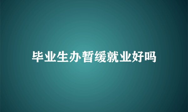 毕业生办暂缓就业好吗