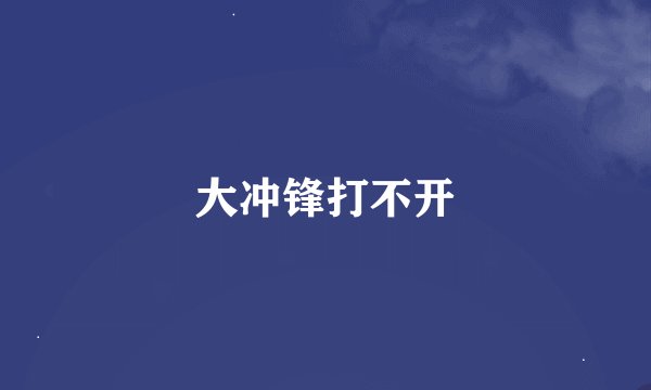 大冲锋打不开