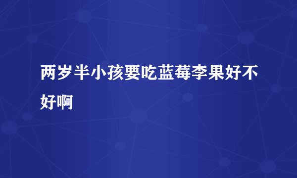 两岁半小孩要吃蓝莓李果好不好啊
