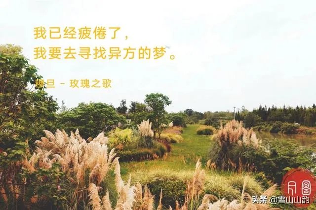 学摄影好吗?什么摄影好?
