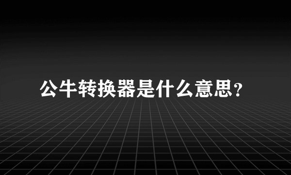 公牛转换器是什么意思？