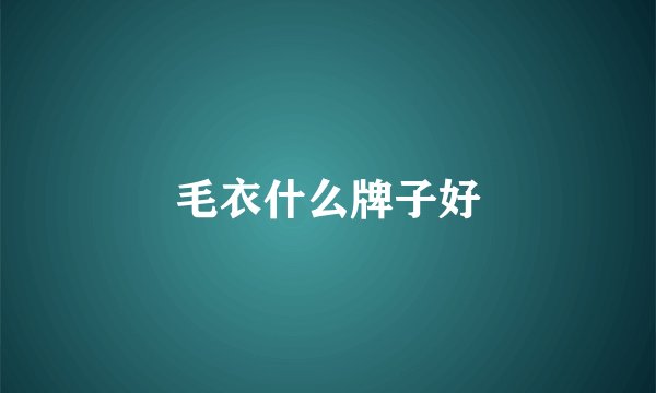 毛衣什么牌子好