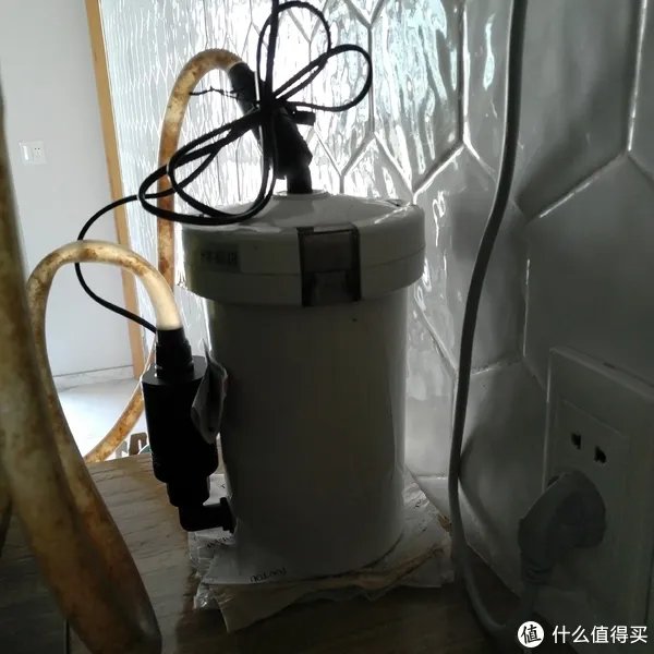 造景 篇一:小白也能玩草缸—聊一聊我的水草缸造景历程