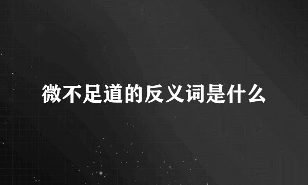 微不足道的反义词是什么
