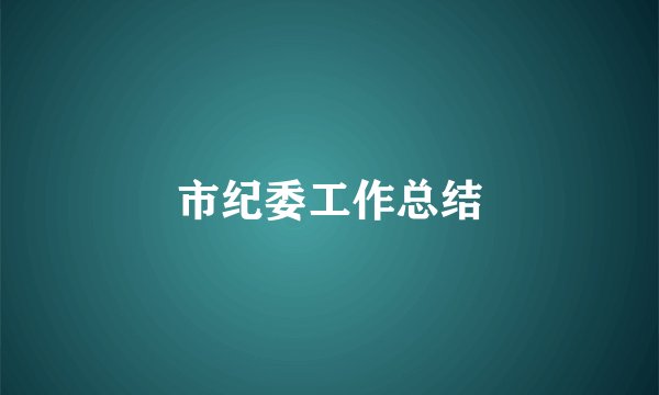 市纪委工作总结
